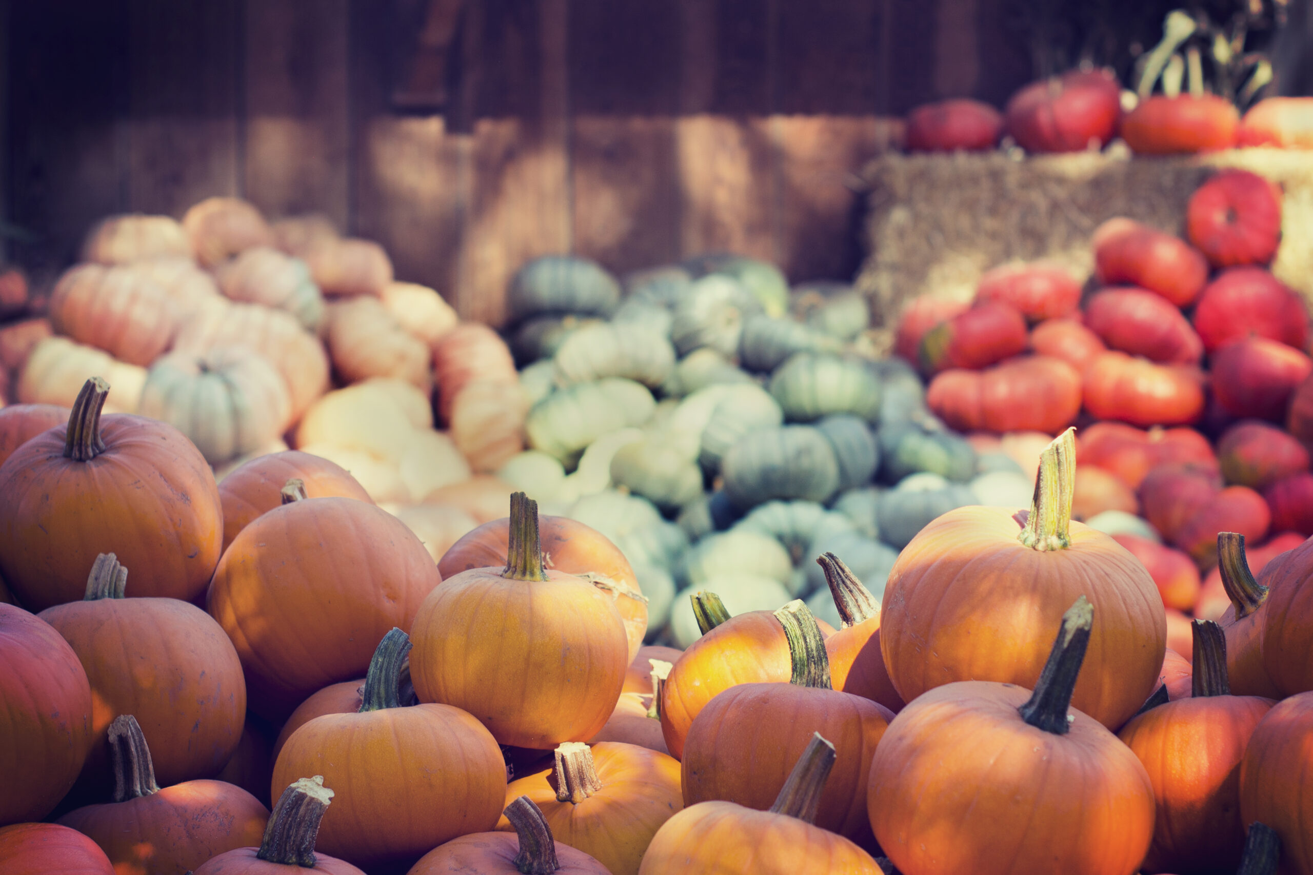 Picture of fall harvest